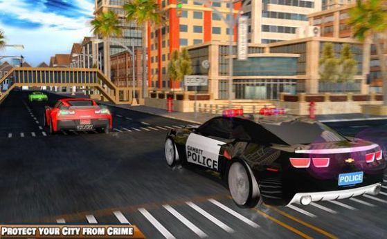 3D警察追捕3D Police Chase